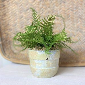 NEW Handmade Faux Boston Fern Potted in a Natural Pot